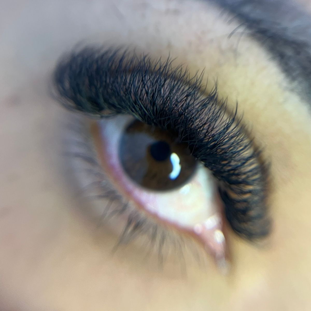 WhatsApp Image 2026-01-19 at 21.01.34